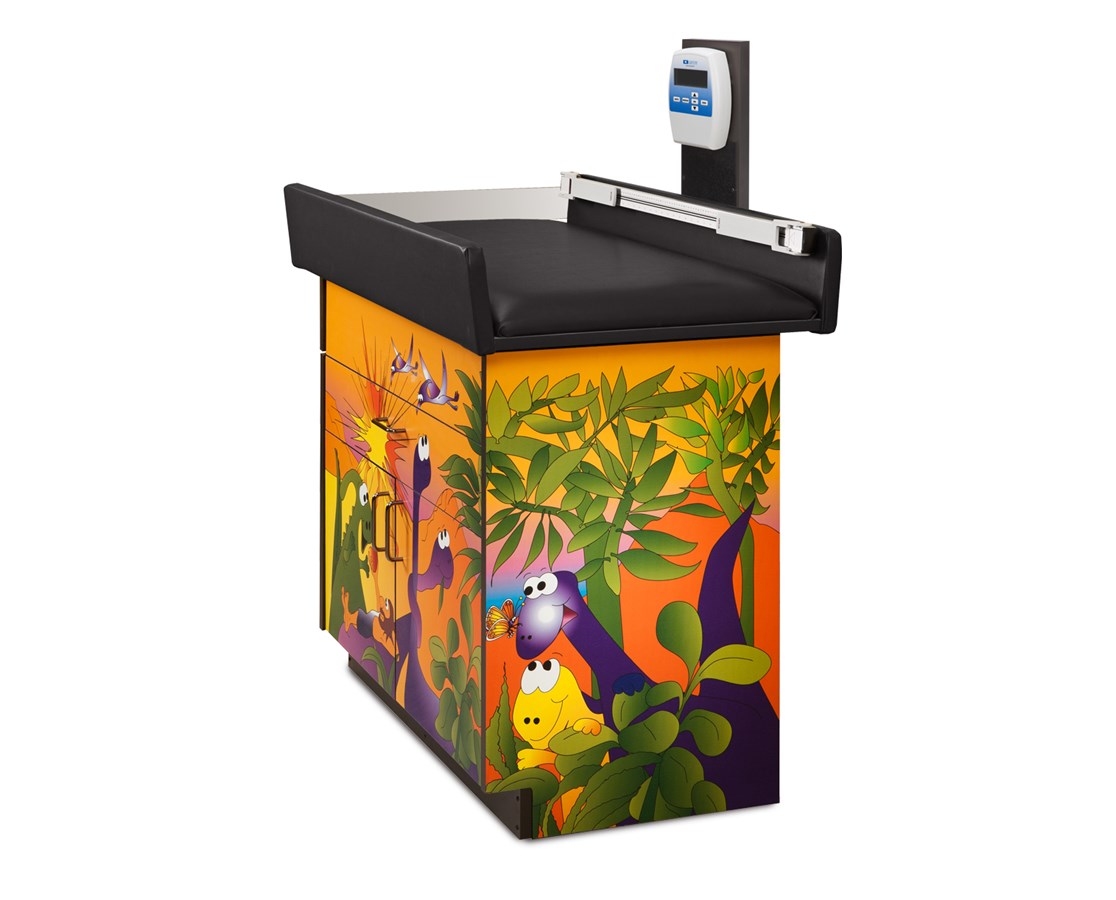 Clinton Pediatric Imagination Cabinet Exam Scale Table.