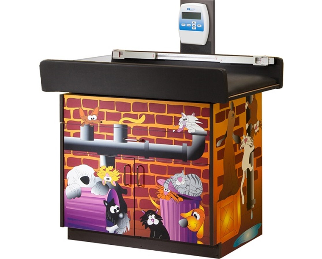 Clinton Pediatric Imagination Cabinet Exam Scale Table.