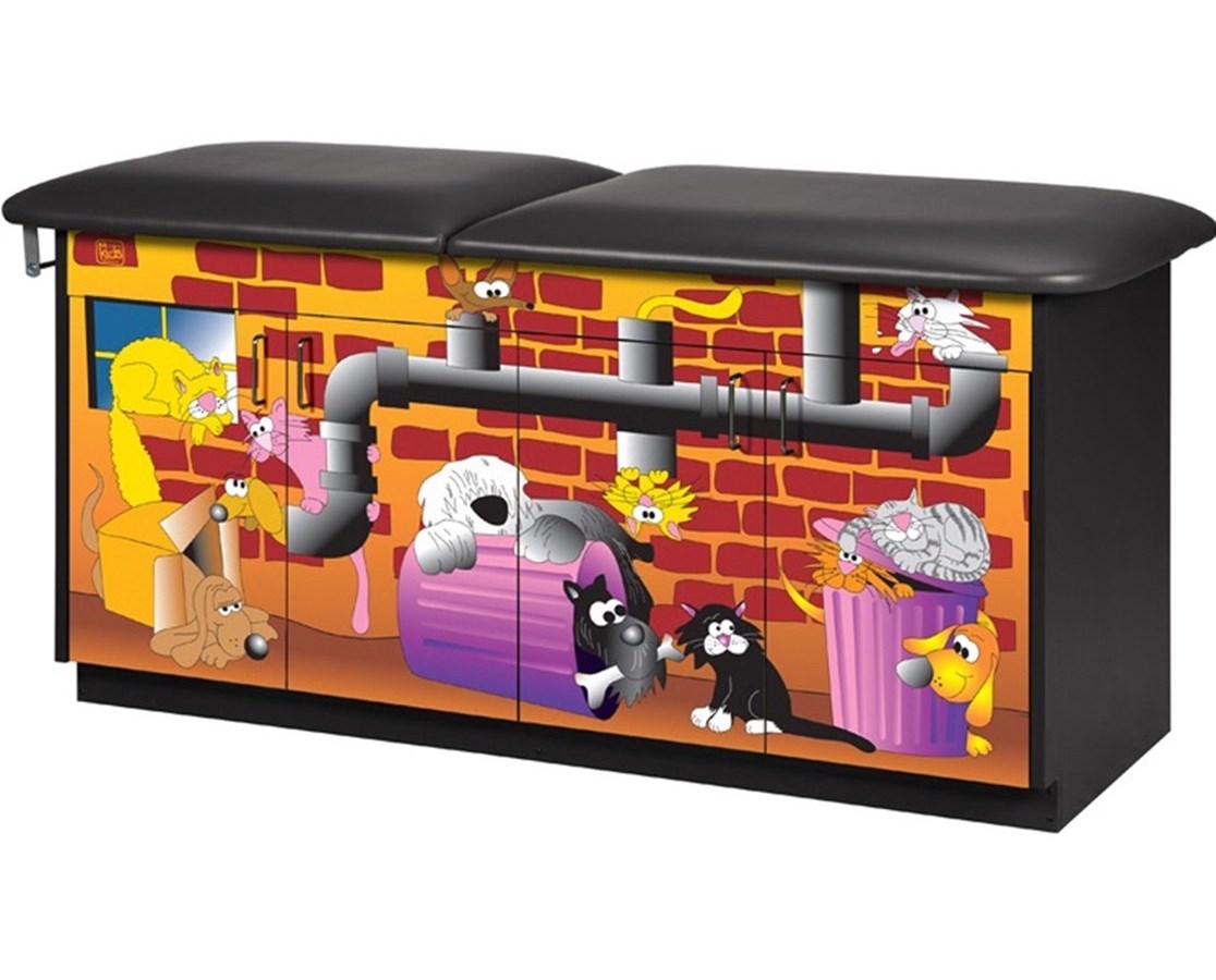 Clinton Pediatric Cabinet Treatment Table.