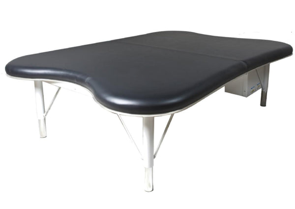 Tri W G Power Hi Lo Rehab Table w/ Flat Top.