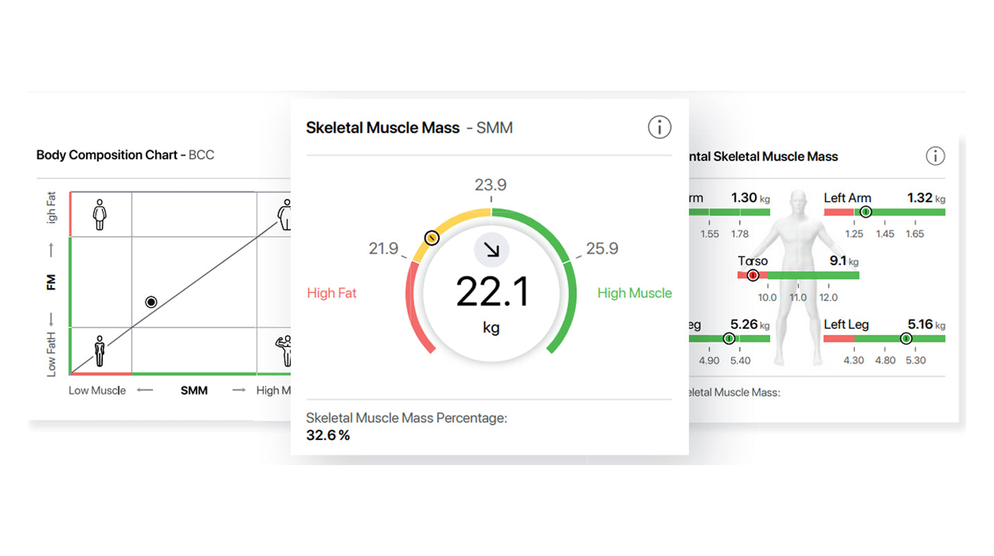 Seca BIA Platform mBCA 554 Body Composition Analyzer. Free Shipping,