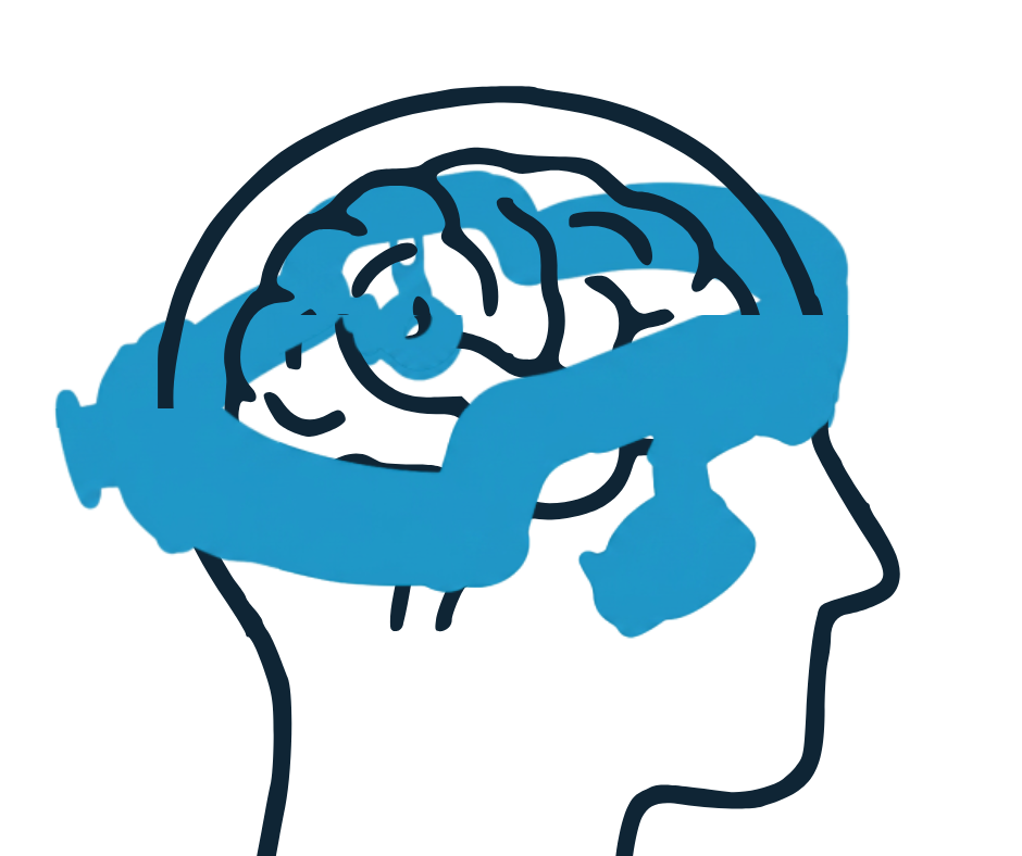 Illustration of a head with brain and transcranial Doppler (TCD) probes for brain blood flow monitoring